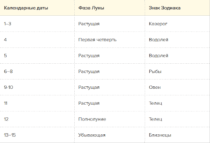 Вплив фаз Місяця на домашні рослини