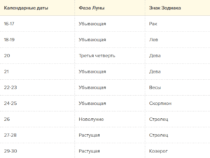 Вплив фаз Місяця на домашні рослини