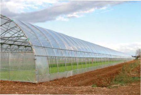 Автоматичне провітрювання теплиць. Які можуть бути варіанти?