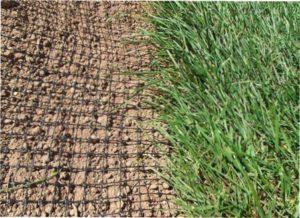 Пластикова сітка від кротів та гризунів.