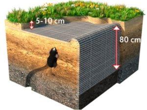 Схема розташування протикротової сітки