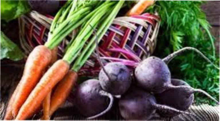 Коли і як копати моркву і буряк для зберігання на зиму в домашніх умовах Коли і як копати моркву і буряк?