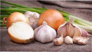 Як зберегти цибулю і часник в домашніх умовах до весни на дачі?