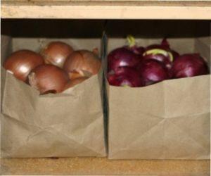 Зберігання цибулі в кошиках