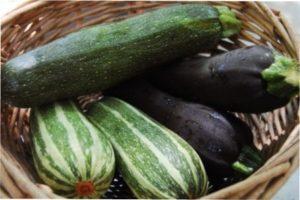 Як зберегти кабачки і гарбуз на зиму в домашніх умовах самостійно