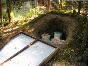 Зберігання насіннєвої картоплі при відсутності льоху