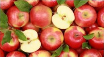 Як правильно зібрати і зберегти врожай яблук