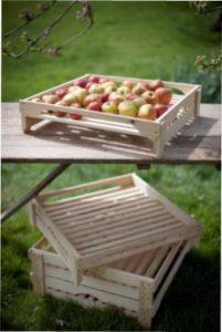 Як збирати та зберігати яблука