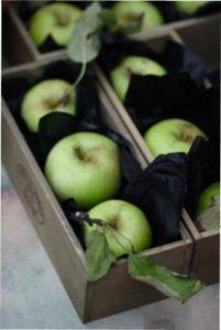 Тара для зберігання врожаю яблук