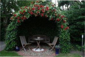 Альтанка з трояндами зображення