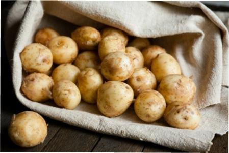 Як викопуати картоплю фото