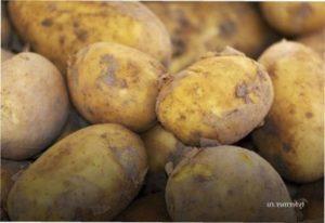 Зберігання картошки фото