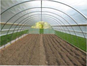 Як вибрати плівку для теплиці та парника.