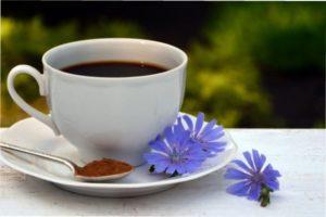 Цикорій - бур'ян, який замінить каву