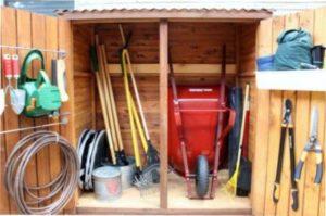 Що робити на городі та в саду восени