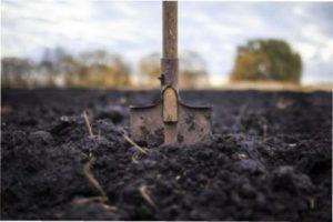 Переваги та недоліки осіннього перекопування землі