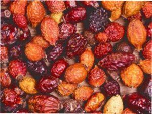 Користь та шкода шипшини для організму фото