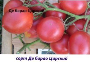 Де Барао Царський урожай томатів