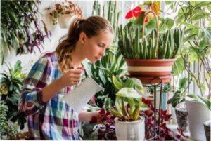 Як доглядати за рослинами у лютому 2022 року.