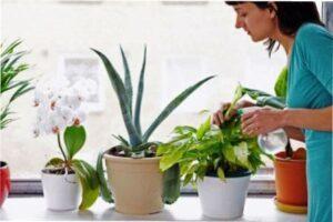 Місячний календар на березень 2022 роки для квітникаря