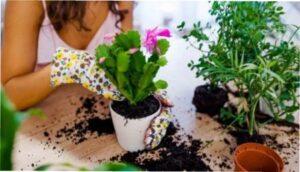 Календар на березень 2022 роки для кімнатних рослин