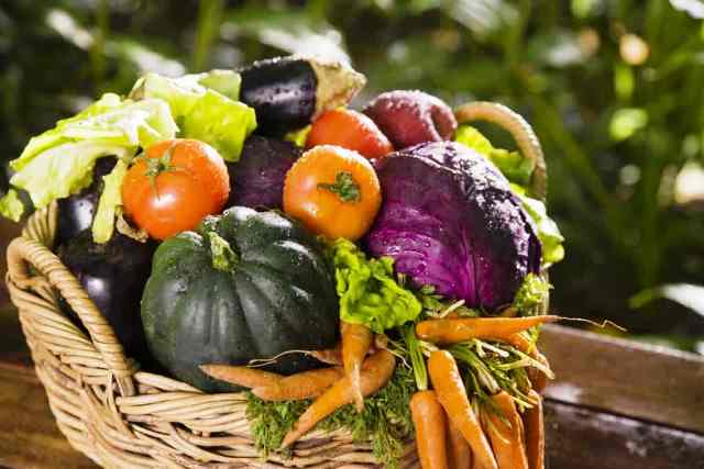 Місячний календар садівника і городника на вересень 2020 року