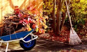 Які роботи проводити у вересні в саду і городі?