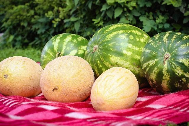 Як правильно вибрати кавун і диню: секрети вибору, корисні властивості