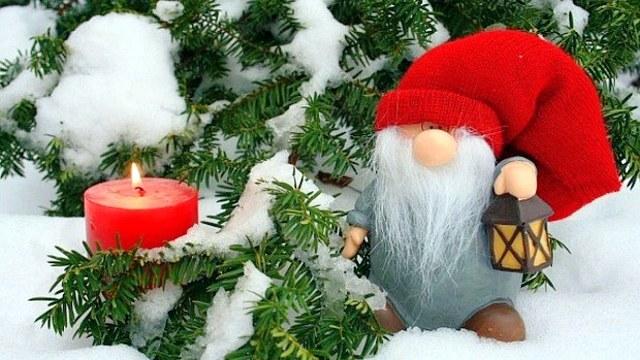 Місячний календар садівника і городника на грудень 2021 рік