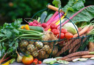 Збір урожаю в листопаді