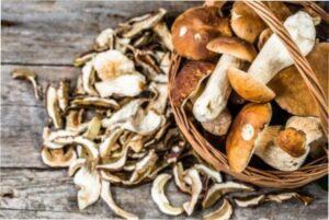 Сушені гриби. Як правильно сушити гриби на зиму