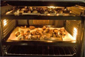 Як сушити гриби в домашніх умовах на зиму в духовці