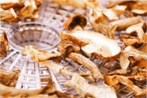 Як сушити гриби в домашніх умовах в сушарці - фото