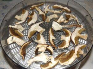 Як сушити гриби в сушарці фото.