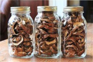 Сушка грибів в лазні для зберігання на зиму