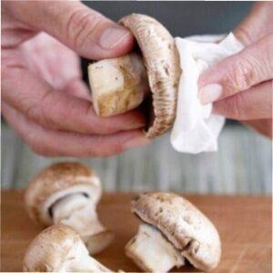 Як сушити гриби в домашніх умовах: стадія підготовки