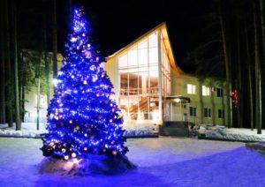 Як прикрасити Новорічну ялинку 2021 рік Білого Бика 