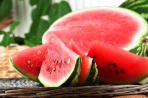 «Ультраранній» - кращий сорт кавуна