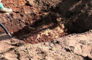 Готуємо грунт під посадку Лохини